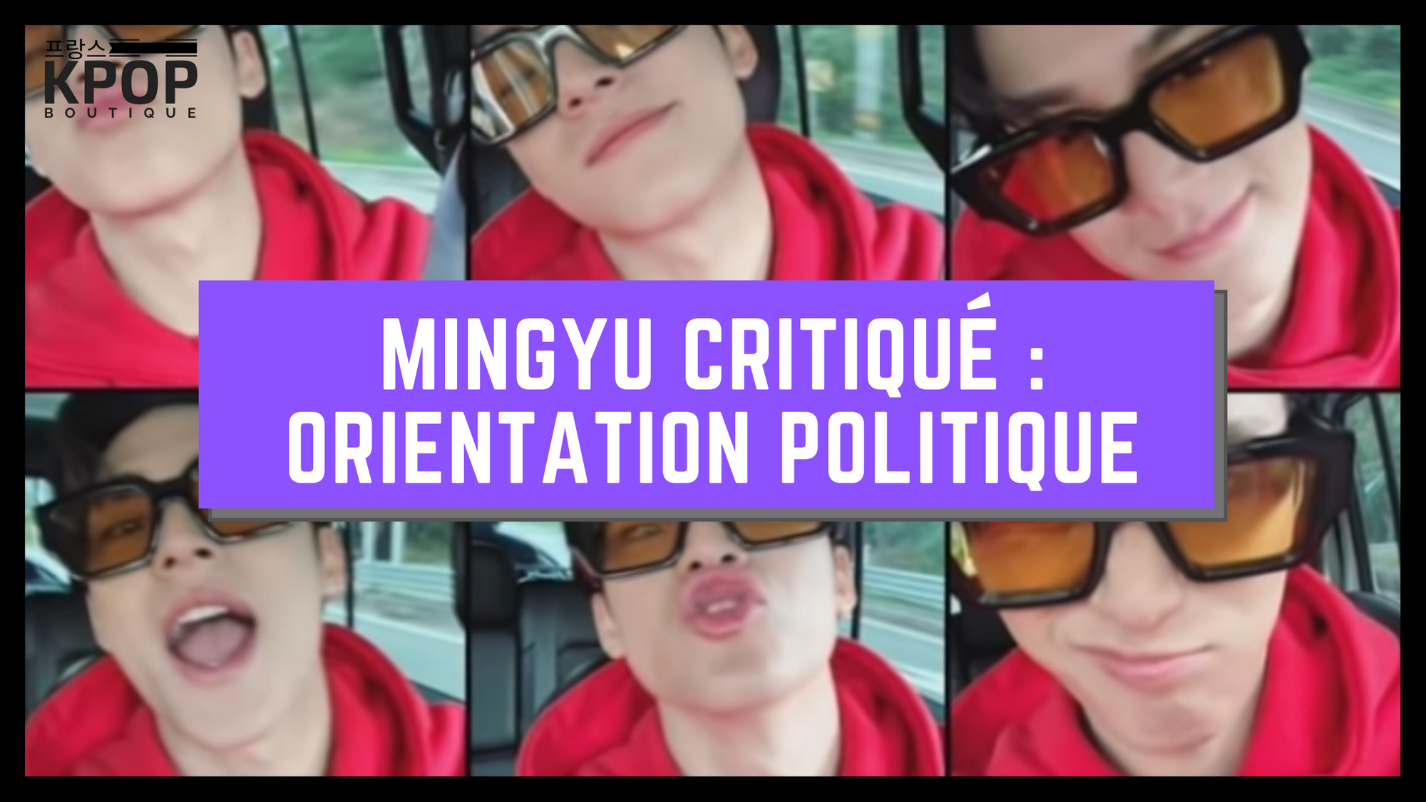 Mingyu de Seventeen : Orientation Politique