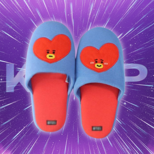 Chausson - Pantoufle