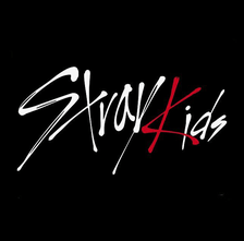 Stray Kids | Vêtements & Accessoires KPOP