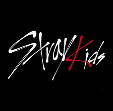 Boutique Stray Kids
