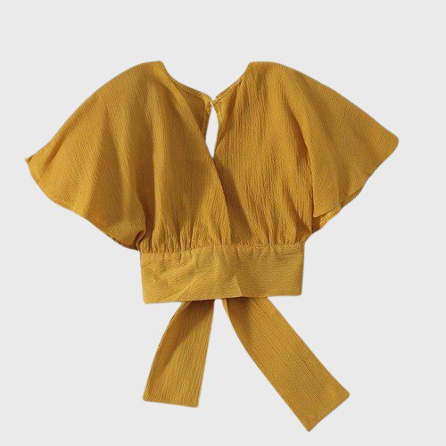 Korean Crop Top Blouse