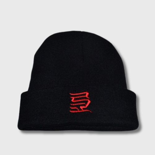 Bonnet Team Wang GOT7