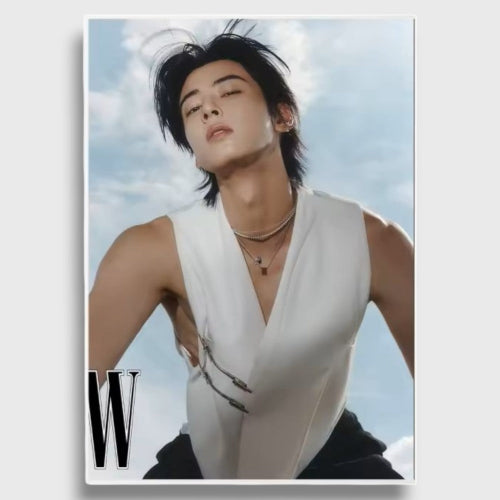 Poster Cha Eun Woo from the group A-Astro