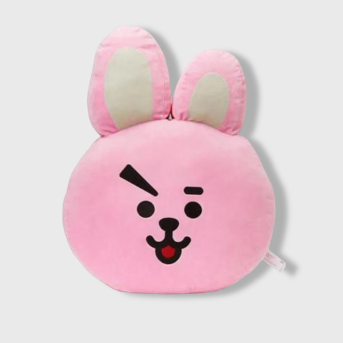 BT21 Plush Cushion