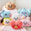 Oreiller BT21 Peluche