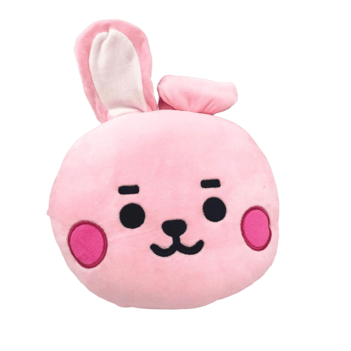 Oreiller BT21 Peluche