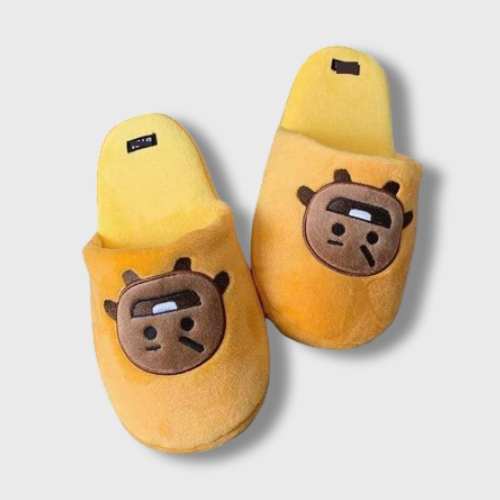 BT21 Slippers