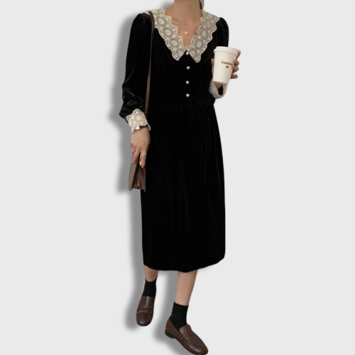 Korean Buttoned Front Robe